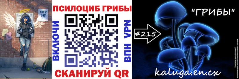 купить   блэк спрут как войти  Псилоцибиновые грибы прущие грибы  Купино 