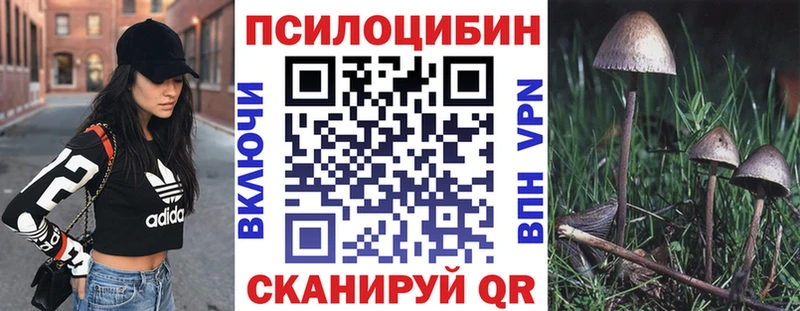 Псилоцибиновые грибы MAGIC MUSHROOMS Купино