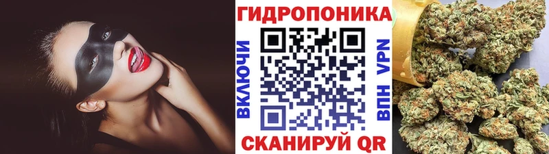 блэк спрут ссылки Купино Шишки марихуана марихуана как найти